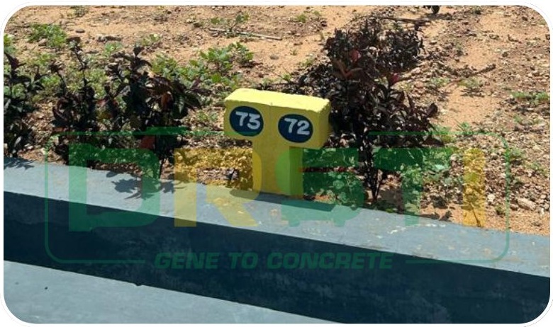 Comprehensive Guide to Plot Stones - Types&comma; Prices&comma; and Installation