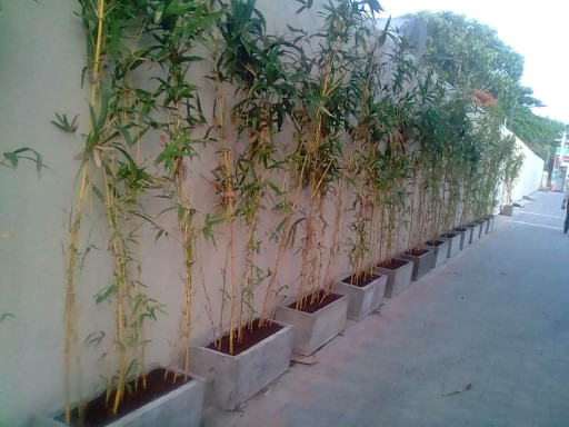 Concrete Planter Box